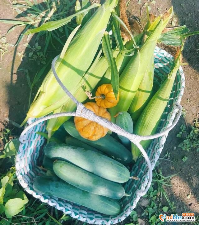 周末游 | 宁德边边上的“澳洲”牧场！疯狂滑草、饲养奶牛，还能睡进童话里！（五）-2.jpg
