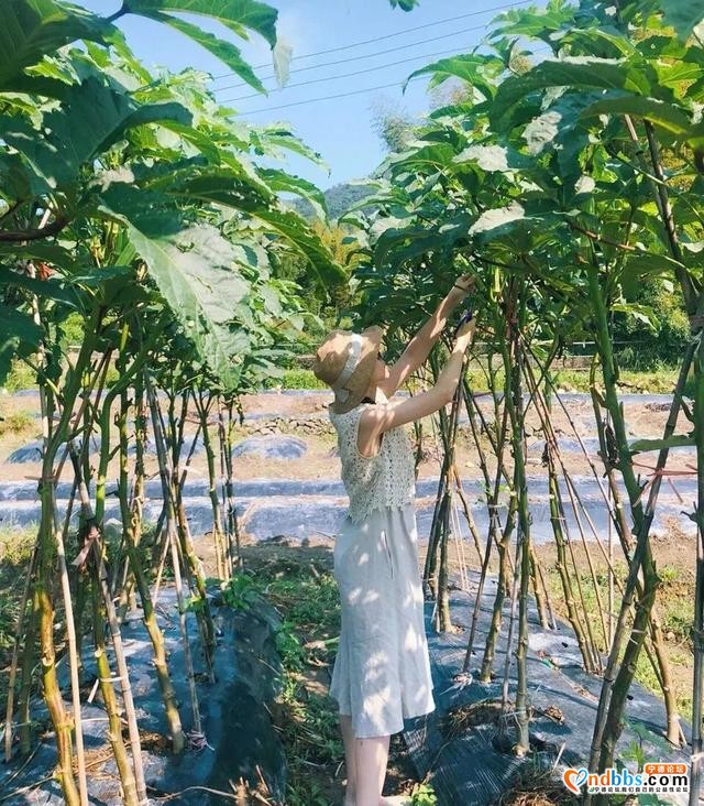 周末游 | 宁德边边上的“澳洲”牧场！疯狂滑草、饲养奶牛，还能睡进童话里！（五）-3.jpg