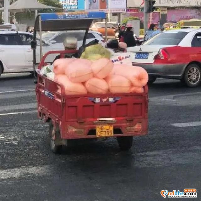 曝光 | 交通违法，曝你没商量！(二)-6.jpg