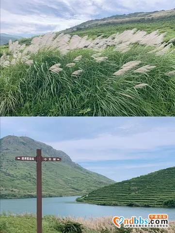 福建·宁德，一个被厦门、福州等热度掩盖风头的地方，小众景点-22.jpg