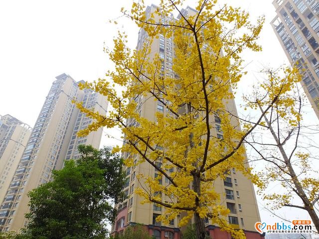 南平楼市；美丽山水下的冷清，是福建房价唯一不过万的宜居之地-3.jpg