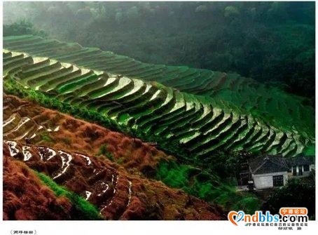 抓紧假期尾巴，去宁德这些地方看最炫民族风→-30.jpg