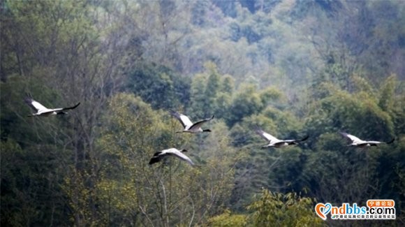 山居夜咏 · 听雨            作者：顾大佺少年听-1.jpg