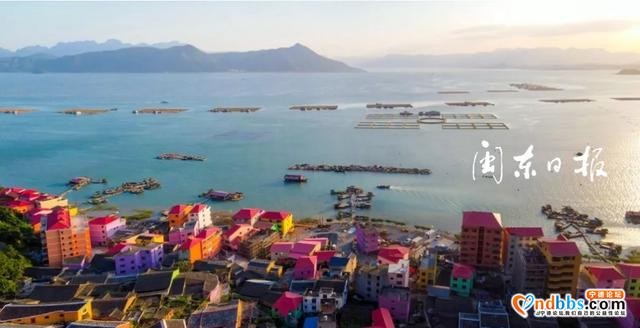 「网络中国节·春节」宁德春节旅游“成绩单”公布,这些乡村的游客日均过万-2.jpg 「网络中国节·春节」宁德春节旅游“成绩单”公布,这些乡村的游客日均过万-2.jpg