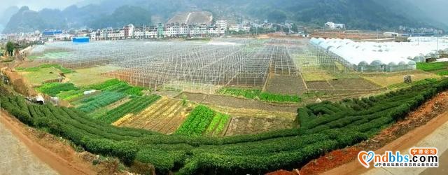 沾牛气啦！听说今年去过这几个地方的宁德人都能“牛气冲天”-24.jpg