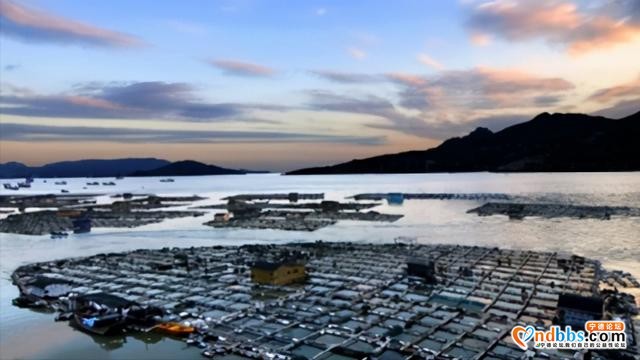 福建的城市，称作“生态旅游胜地”，境内“湿地公园”被游客称赞-5.jpg