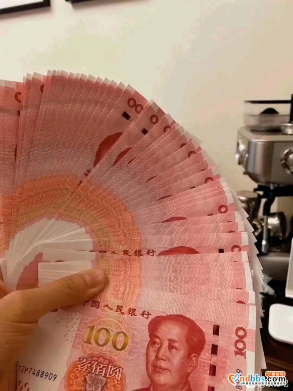 回收压岁钱
可兑换猫，狗，宠物用品！【图片】-1.jpg