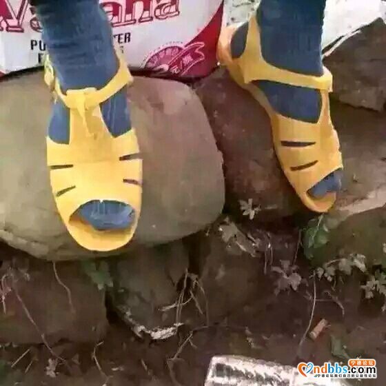 「十二月」物品交易，二手 捡漏  上宁德吧-4.jpg