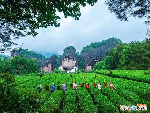 春天到了，小旅送你一份清新绿-9.jpg
