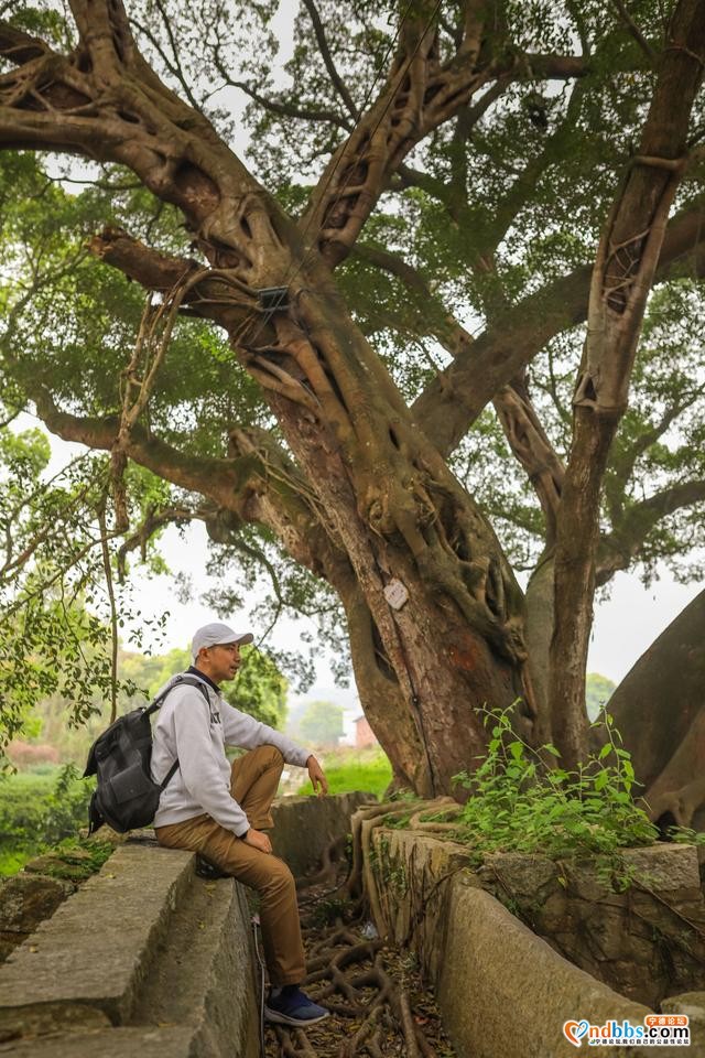 福建这条古村落，春天美成仙境，随手拍都是大片-15.jpg