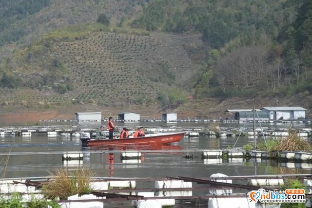 打响洪口水库清退“第一枪”！首拆渔排30框~-3.jpg