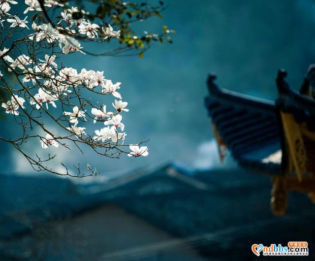 清新福建 | 宁德屏南：谁吹兰气上高枝 无端忙煞拍花人-13.jpg