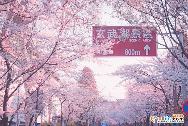 4月旅行榜单推荐｜这10个地方，将迎来一年中的最佳旅游时间-20.jpg
