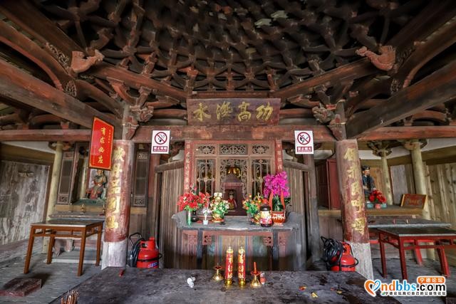 藏在福建深山的古村，三月桃花朵朵开，漫步巷道闻花香-26.jpg