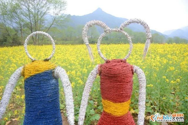 霍童油菜花开啦！快来打卡这片金色花海，与春天撞个满怀！-2.jpg