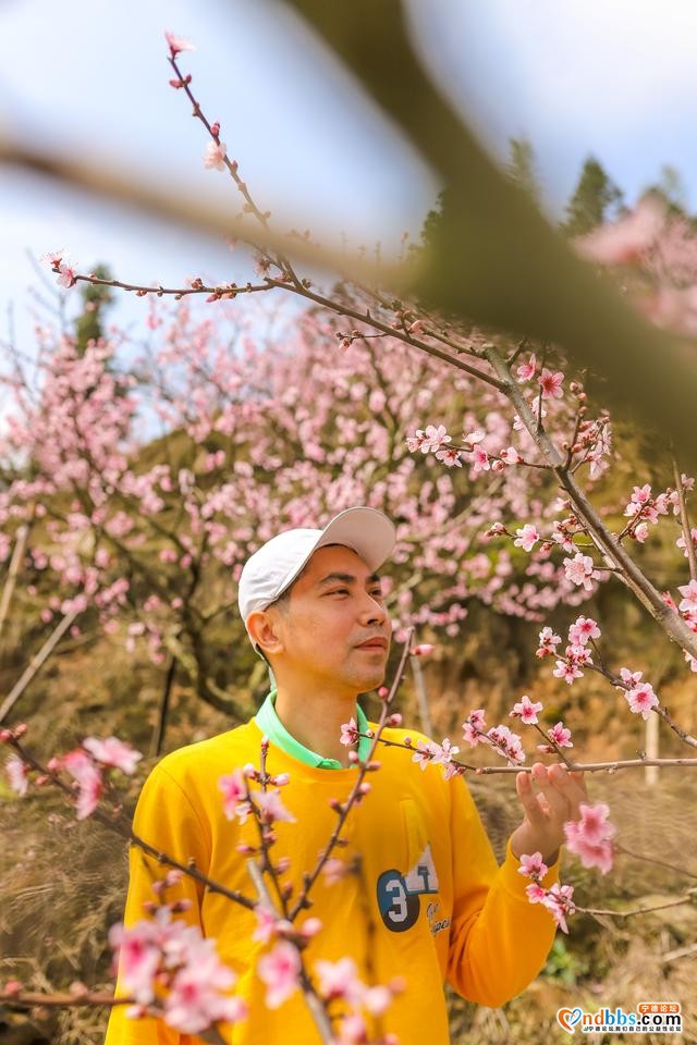 福建最美乡村游，打卡原生态畲族村，春日桃花别样红-4.jpg