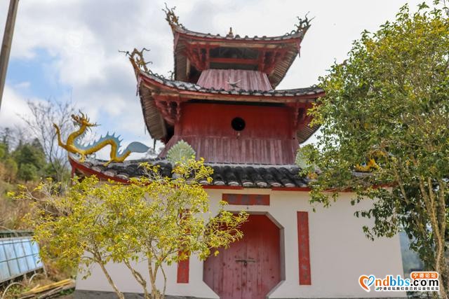 福建最美乡村游，打卡原生态畲族村，春日桃花别样红-22.jpg