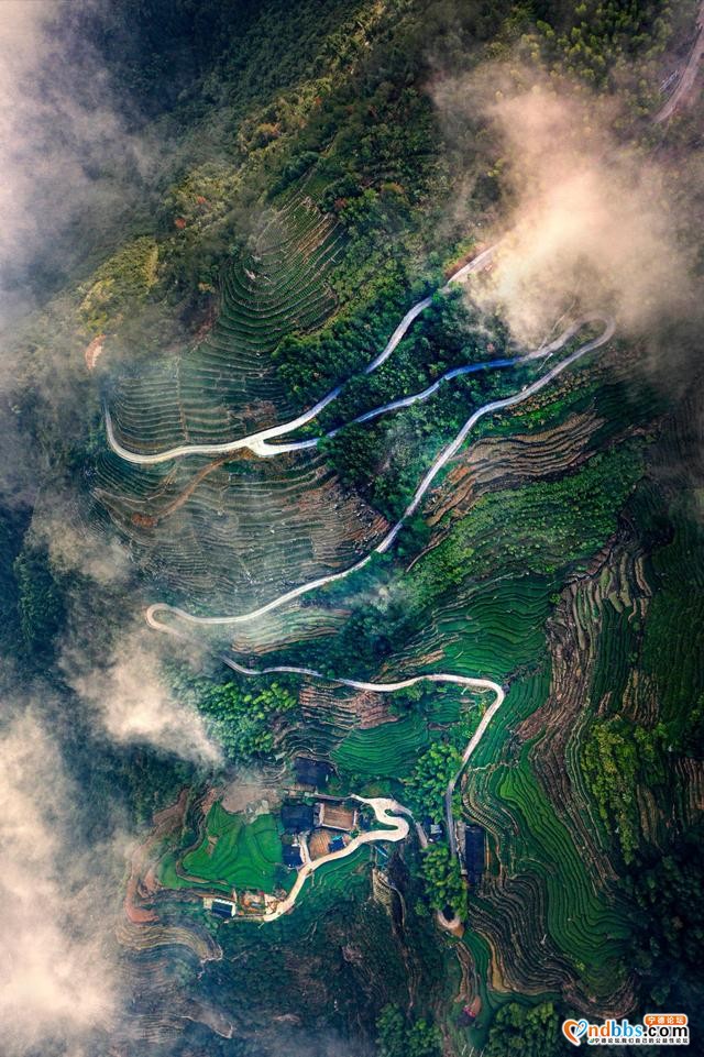 每日一景 | 宁德柘荣：柘荣山有色，“茶”迎天下客-7.jpg