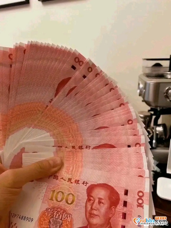 回收压岁钱
可兑换猫，狗，宠物用品！【图片】【图片-1.jpg