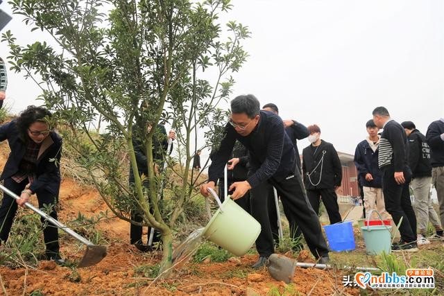 宁德市政协联合学院开展2021年政协委员林植树活动-2.jpg