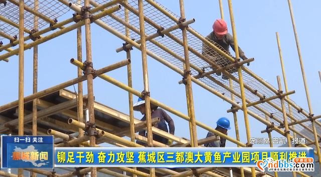 铆足干劲奋力攻坚！三都澳大黄鱼产业园项目最新进展看这里-3.jpg