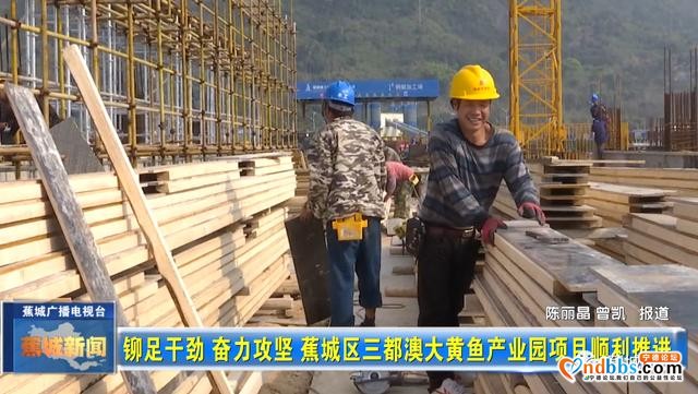 铆足干劲奋力攻坚！三都澳大黄鱼产业园项目最新进展看这里-2.jpg