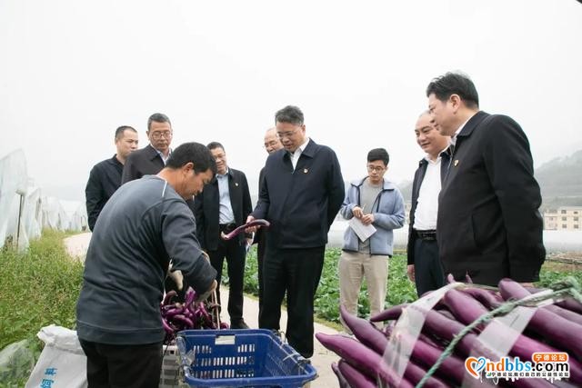 再学习 再调研 再落实丨传统产业如何高质量发展，宁德市委书记这么说……-2.jpg