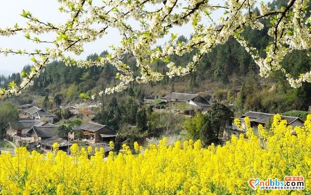 春季旅行去哪好？国内这25个地方，最适合3-5月出发-16.jpg