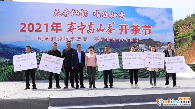 寿宁：2021年春茶开采，乡村振兴再添新助力-10.jpg