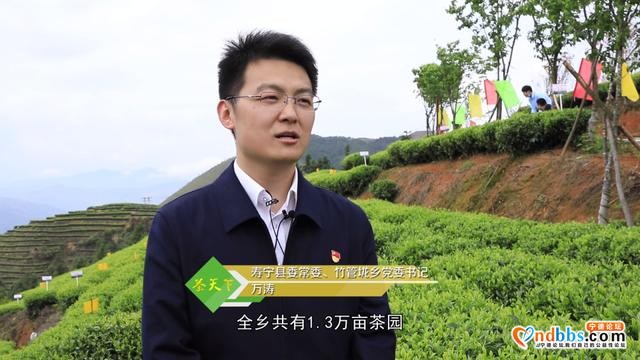 寿宁：2021年春茶开采，乡村振兴再添新助力-8.jpg