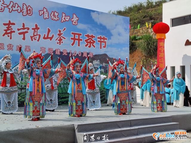 垅上茶乡飘香！寿宁这个开茶节有韵味-3.jpg