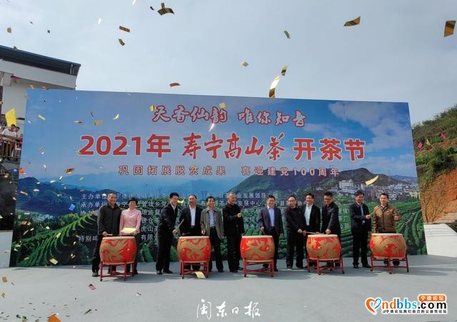 垅上茶乡飘香！寿宁这个开茶节有韵味-1.jpg