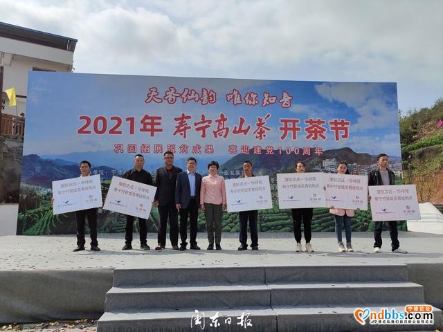 垅上茶乡飘香！寿宁这个开茶节有韵味-4.jpg