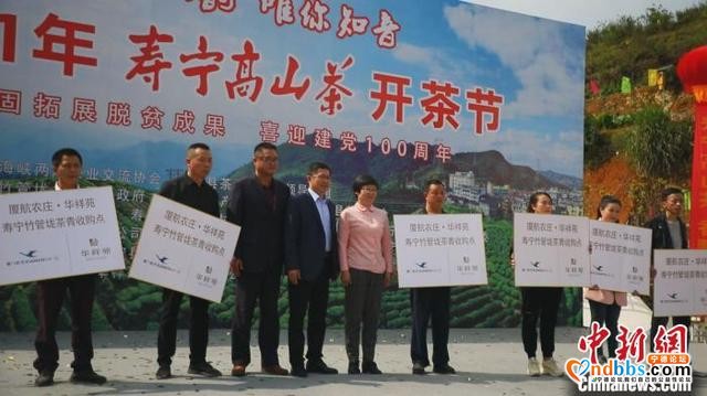 “中国名茶之乡”福建寿宁举办开茶节 促进茶旅融合发展-3.jpg