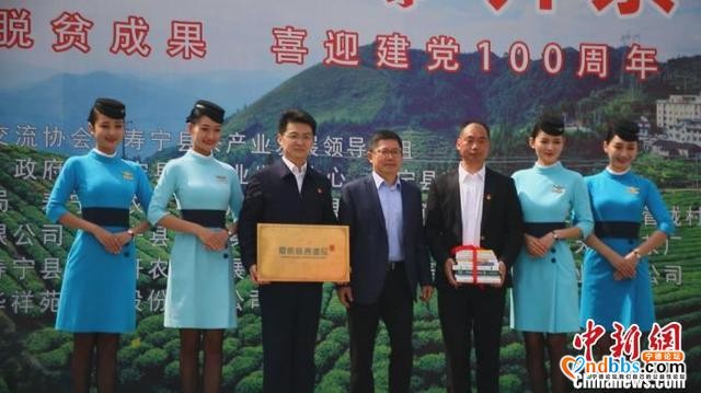 “中国名茶之乡”福建寿宁举办开茶节 促进茶旅融合发展-4.jpg