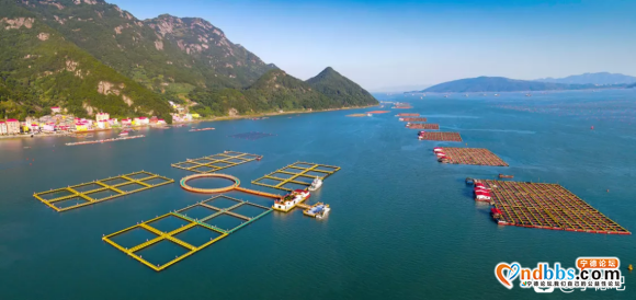 北斗都村 多彩渔村 海上田园-1.jpg