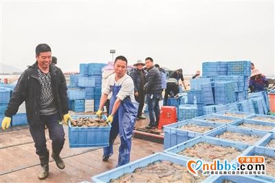 霞浦：小小海参 产业富民-3.jpg