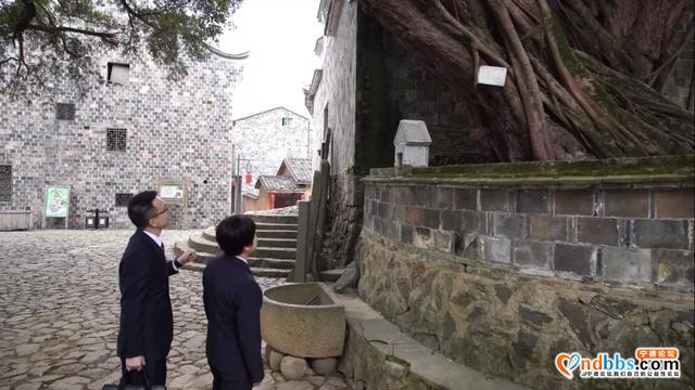 再学习再调研再落实｜宁德霞浦县检察院开展历史文化名村和古树名木保护调研-3.jpg