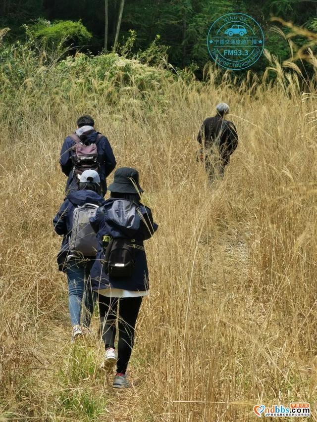 宁德丨走，阳春三月带你去搞钱！这里有矿！徒步攻略—>-9.jpg