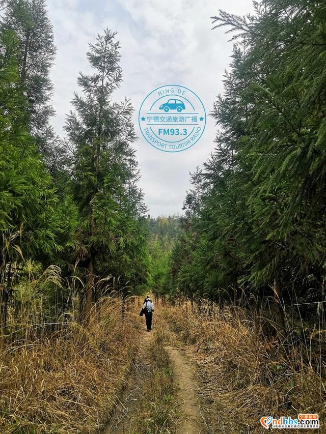 宁德丨走，阳春三月带你去搞钱！这里有矿！徒步攻略—>-8.jpg