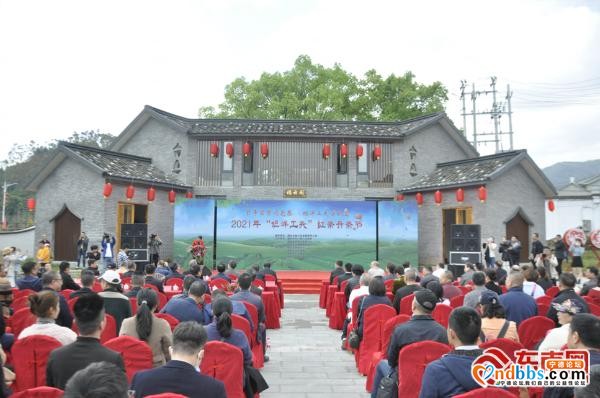 鸣锣开茶！2021年“坦洋工夫”红茶开茶节开幕-1.jpg