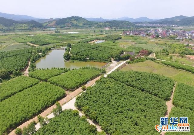 “两山”共“建”造“福”地——来自八闽大地的绿色发展观察-8.jpg