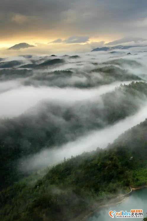 以花的名义去这座山赴一场“烂漫”之约-4.jpg