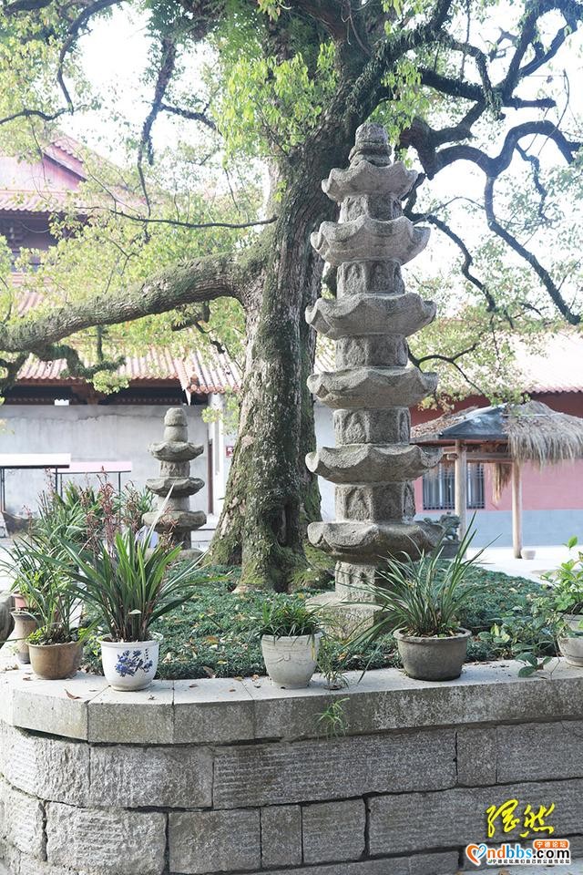 古建寻踪｜蕉城最悠久佛寺之一，残存的宋代双塔风雨千年-2.jpg