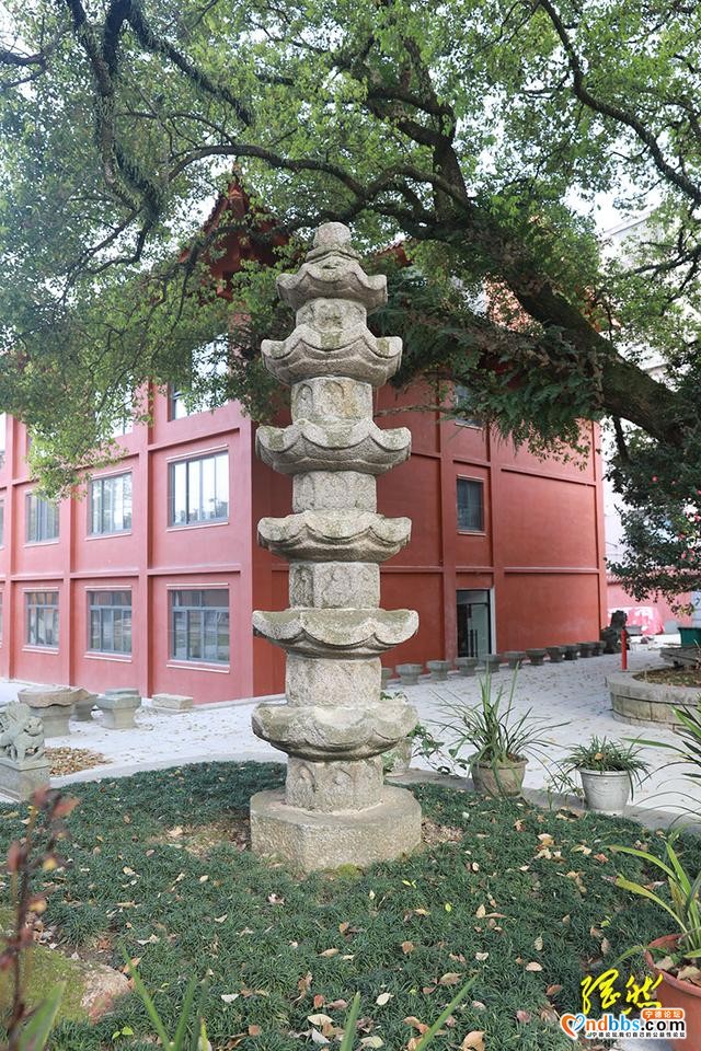 古建寻踪｜蕉城最悠久佛寺之一，残存的宋代双塔风雨千年-13.jpg