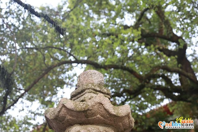 古建寻踪｜蕉城最悠久佛寺之一，残存的宋代双塔风雨千年-28.jpg