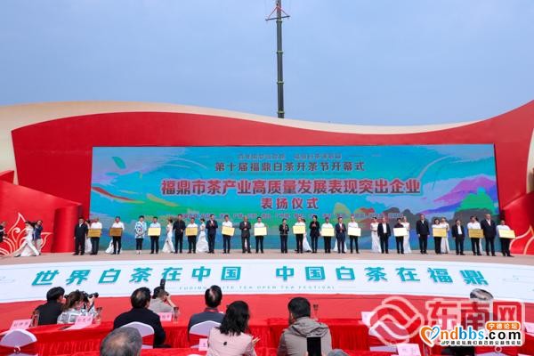 “中国白茶之乡”福鼎举办第十届白茶开茶节-4.jpg
