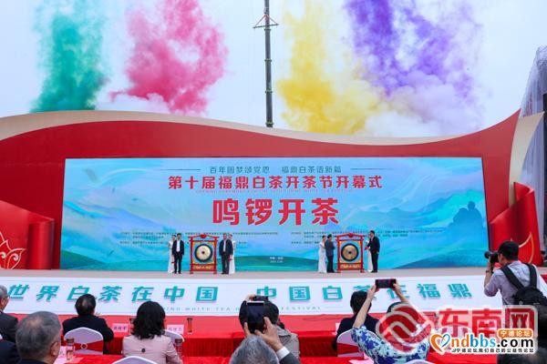 “中国白茶之乡”福鼎举办第十届白茶开茶节-3.jpg