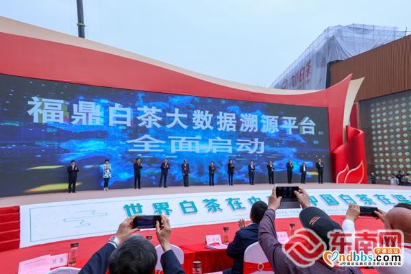 “中国白茶之乡”福鼎举办第十届白茶开茶节-5.jpg