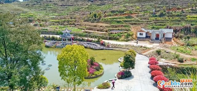 每日一景 | 宁德柘荣：“醉”于“游朴故里”-2.jpg